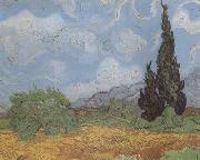 Vincent Van Gogh Wheat Field with Cypresses (nn04) USA oil painting artist